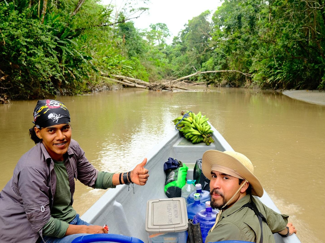 Dracaena Explorations-基多必去景点