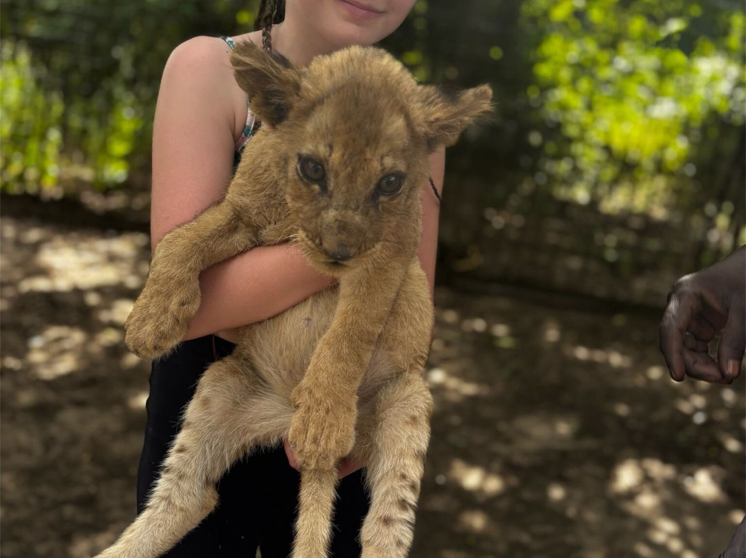 Fathala Wildlife Reserve-Dassilame Ba必去景点