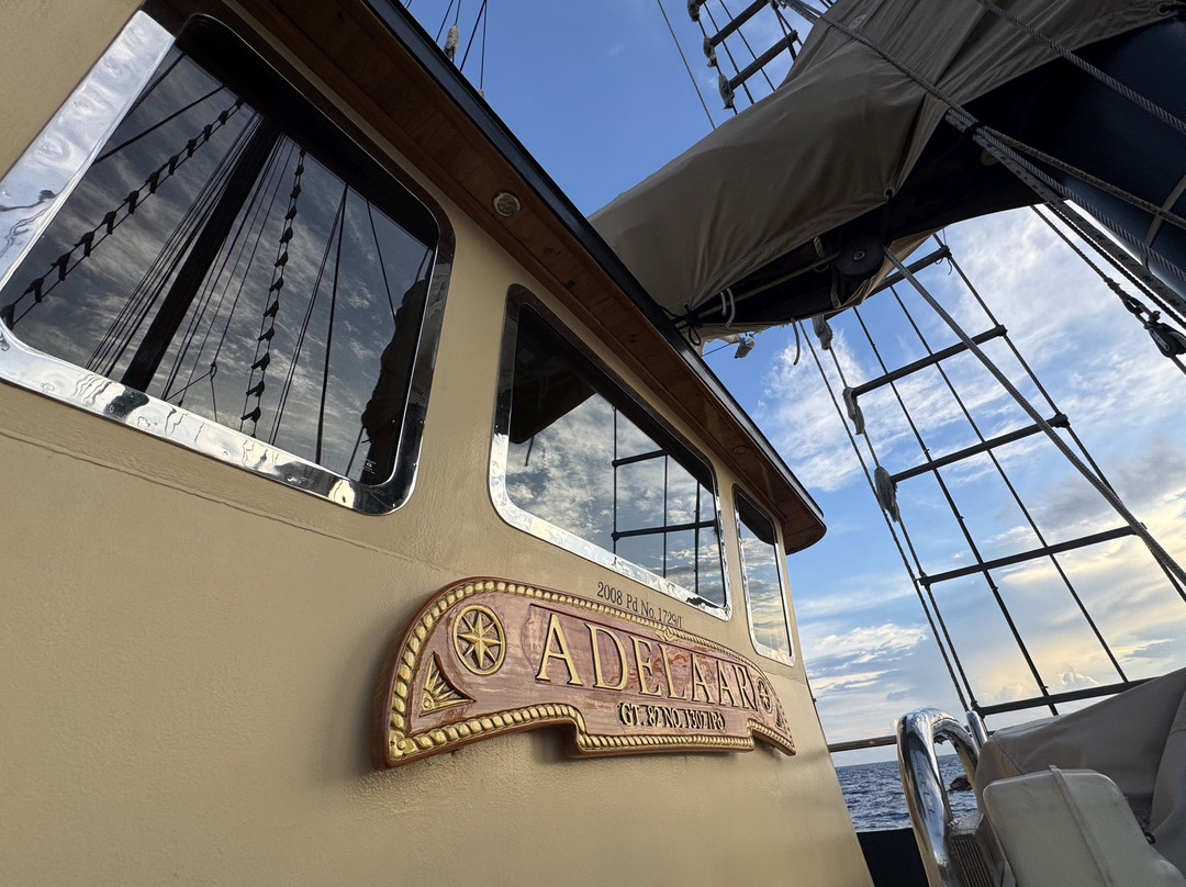 Adelaar | Raja Ampat & Komodo Liveaboard-Serangan必去景点