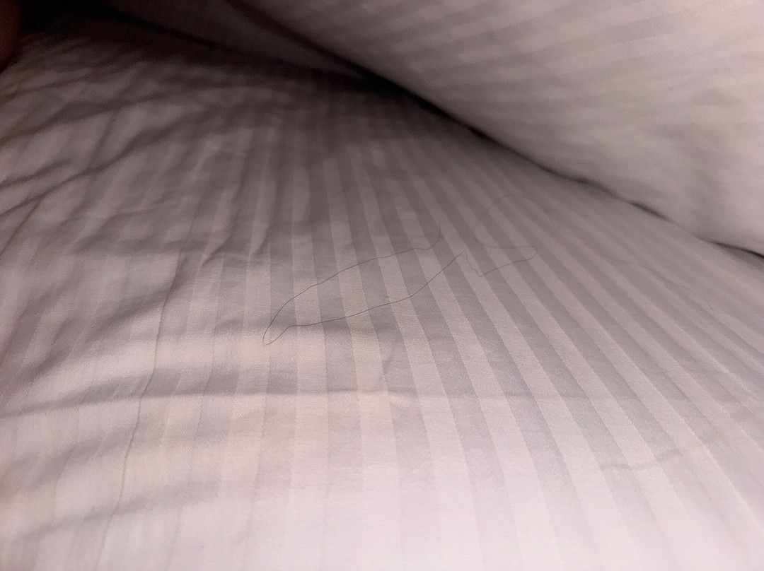 La Quinta Inn & Suites by Wyndham Katy主图