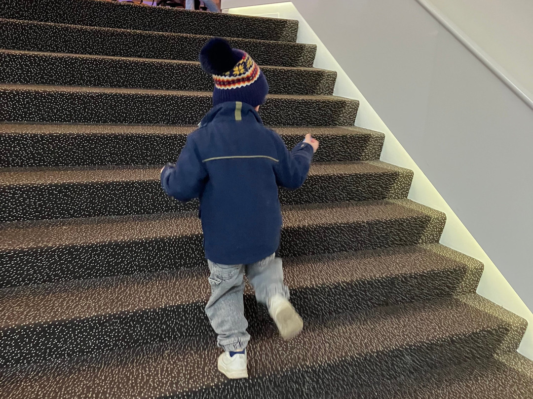 Muziekgebouw-埃因霍温必去景点