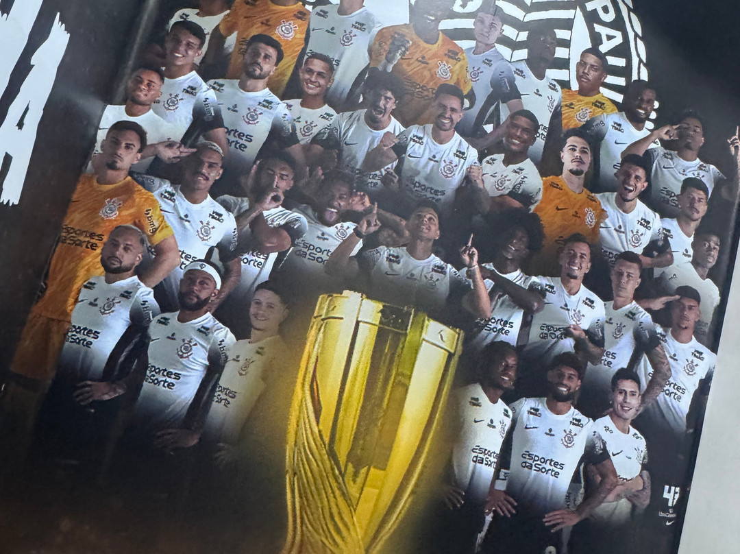 Arena Corinthians - Neo Química Arena-圣保罗必去景点