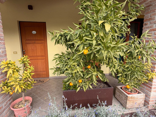 卡萨尼可里尼酒店主图