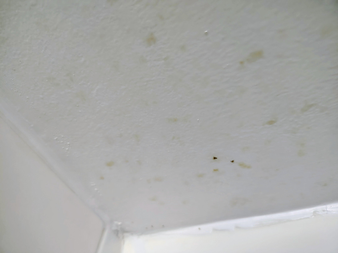 Best Western Plus Dalton Inn主图