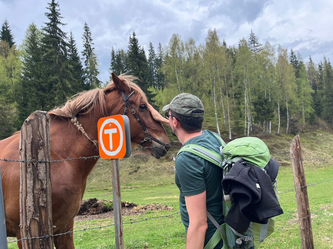 Via Transilvanica-Piatra Fantanele必去景点