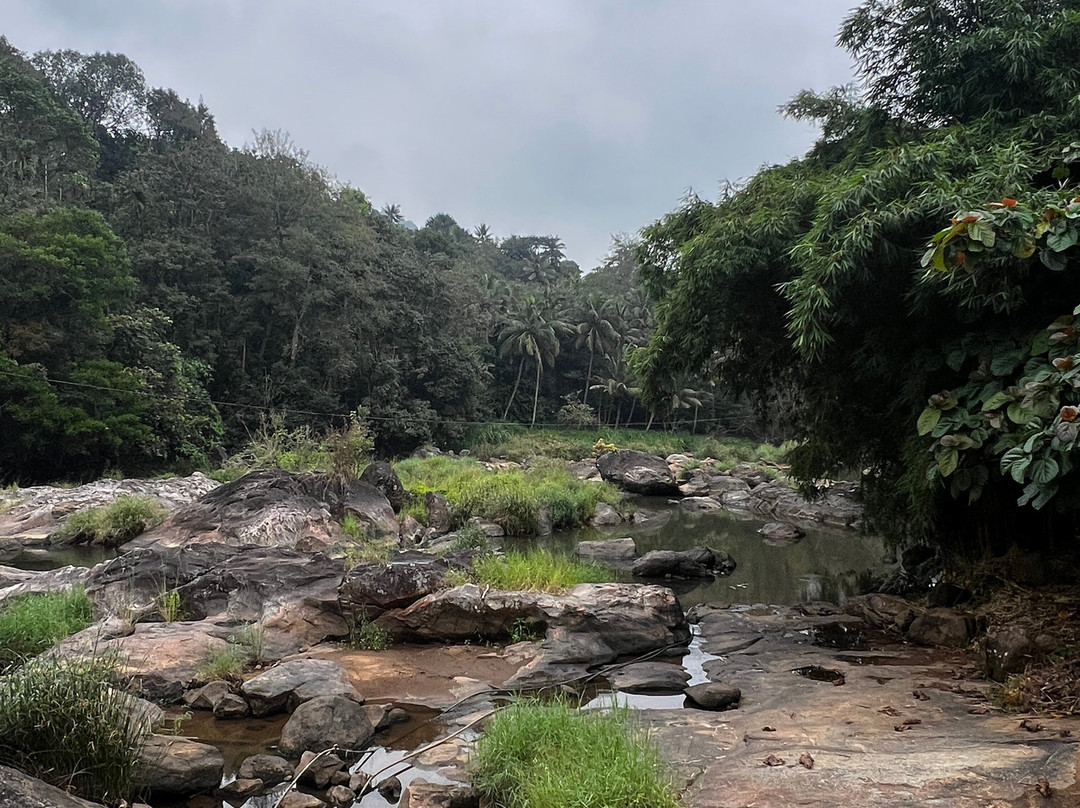 Munnar Angel Cabs-慕那尔必去景点