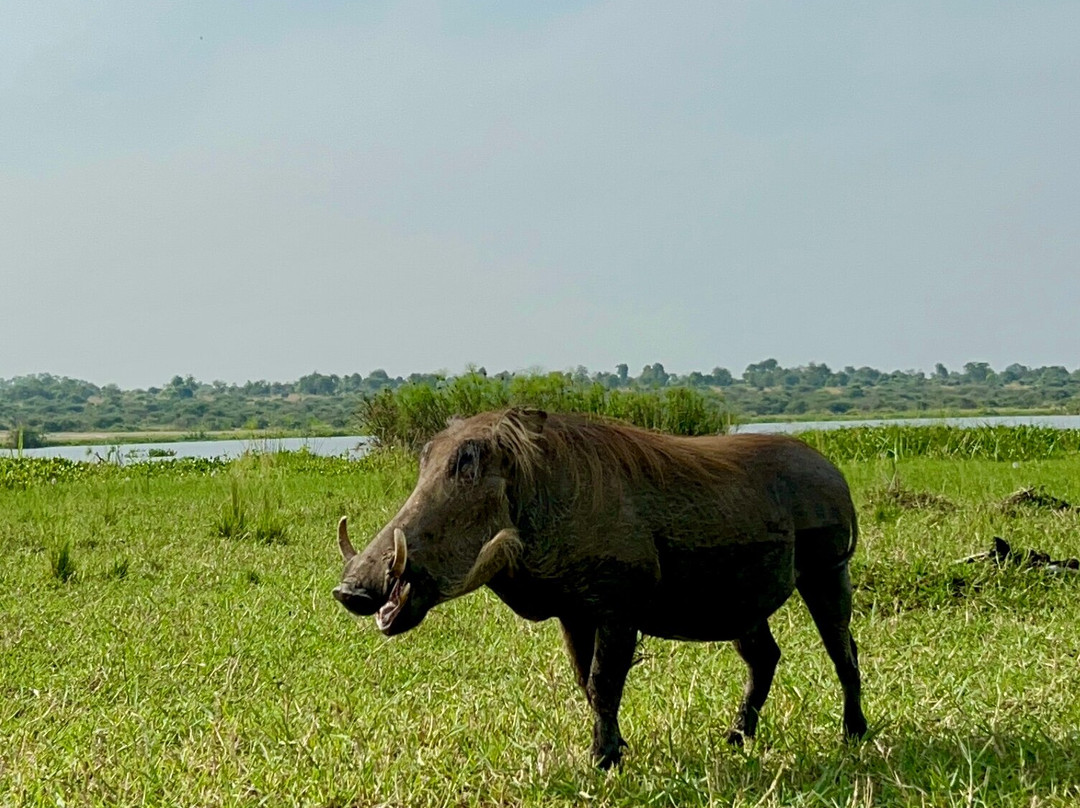 Trek Rwenzori Tours-Fort Portal必去景点