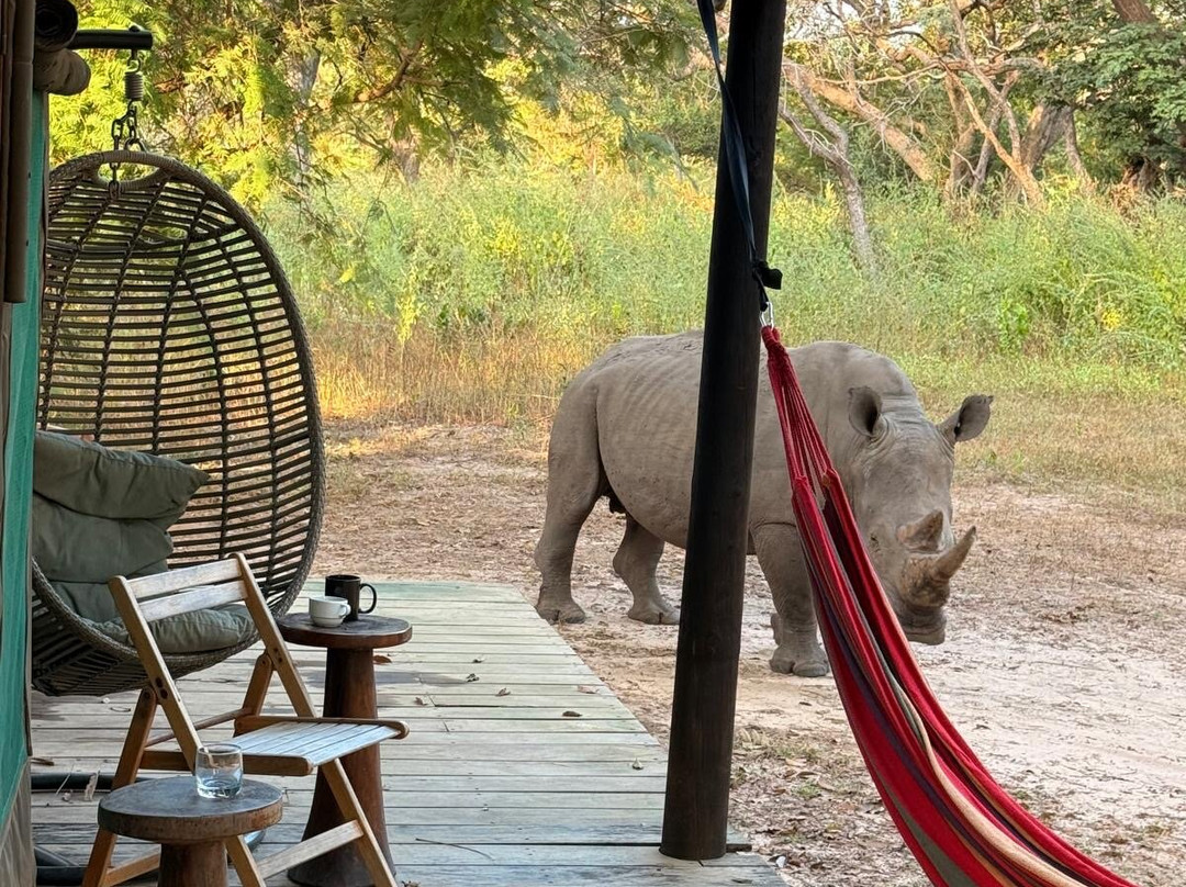 Fathala Wildlife Reserve-Dassilame Ba必去景点