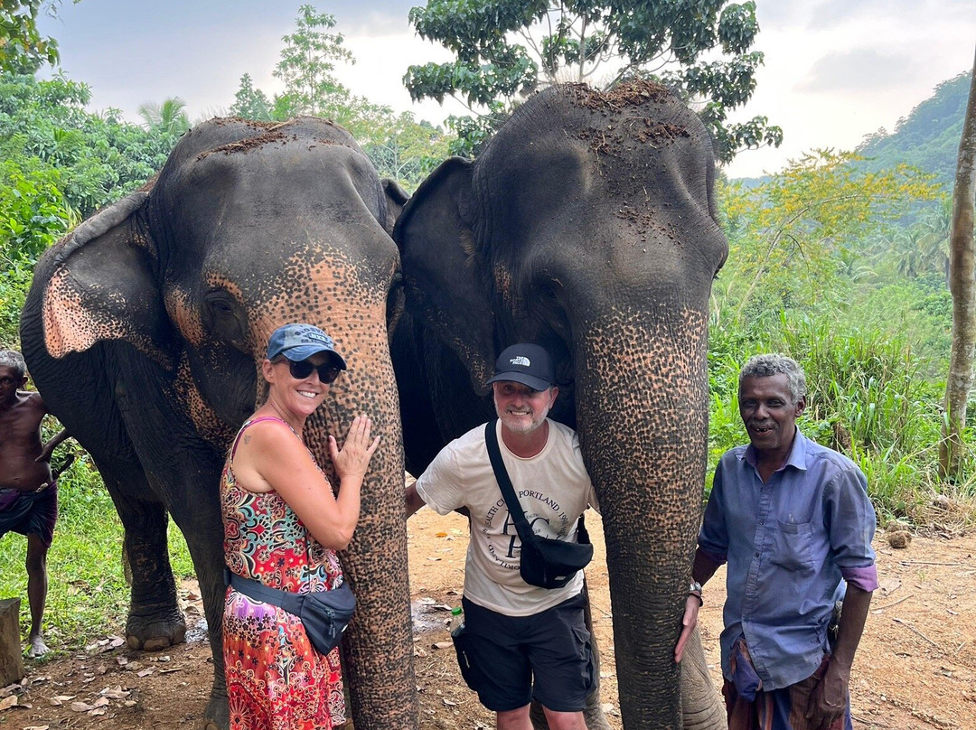 Elephant Freedom Project-凯格勒 必去景点