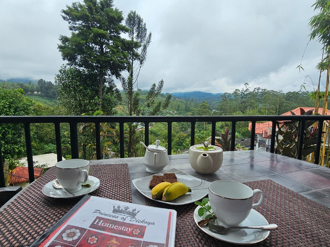 Princess of Dickoya主图