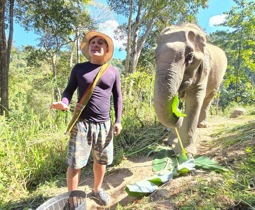 Chiangmai Elephant Sanctuary-清迈必去景点