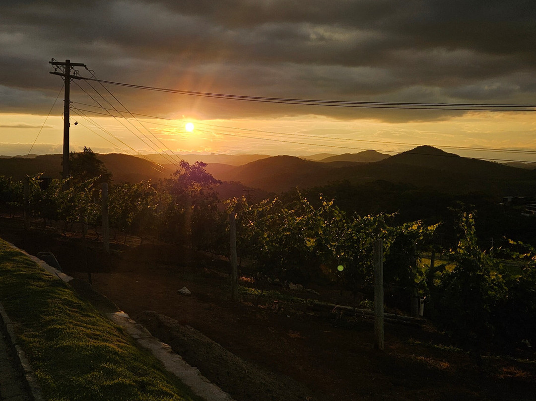 Vinícola Família Eloy-Areal必去景点