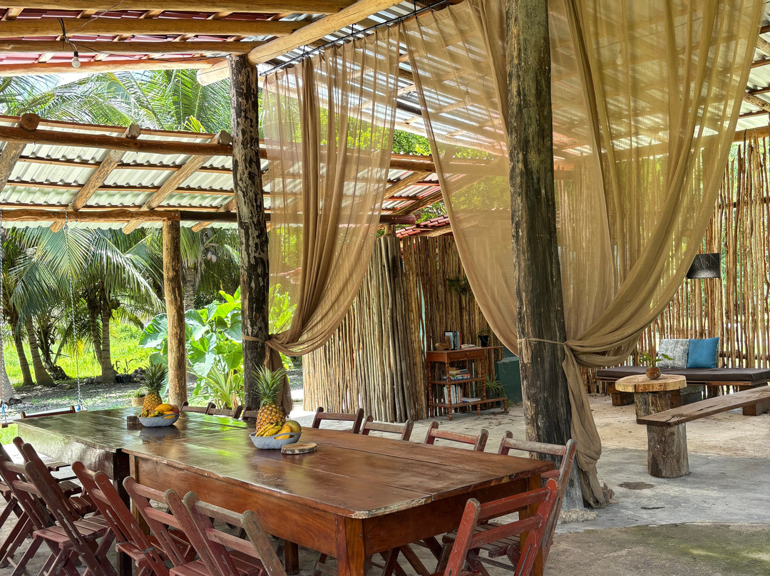 K'u' Áayin - Nido de Cocodrilos-Chunhuhub必去景点