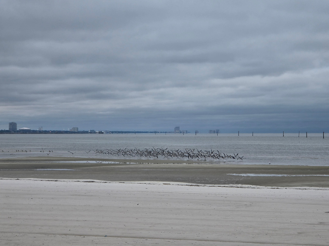 Hilton Garden Inn Gulfport Airport主图