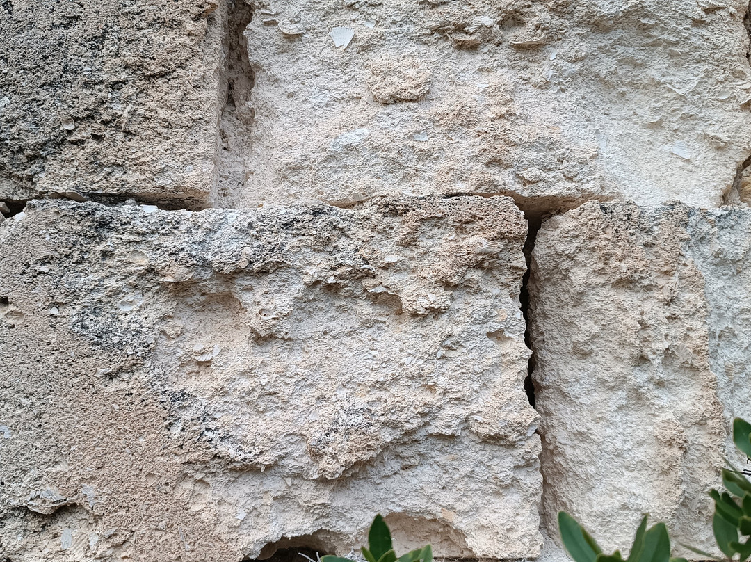 Chiesa romanica San Giovanni di Noale (ruderi)