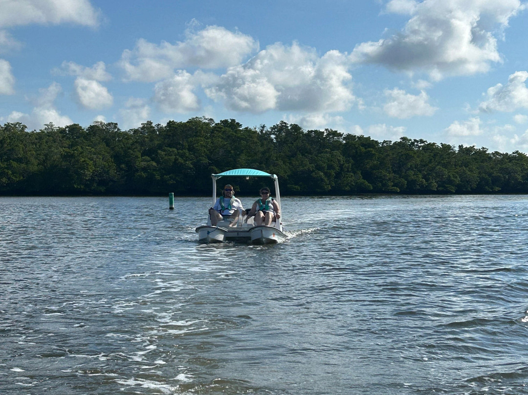 Backwater Cat Adventure-棕榈海岸必去景点