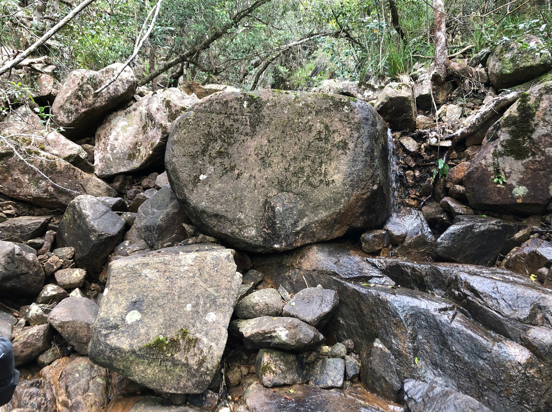 城堡岩农场