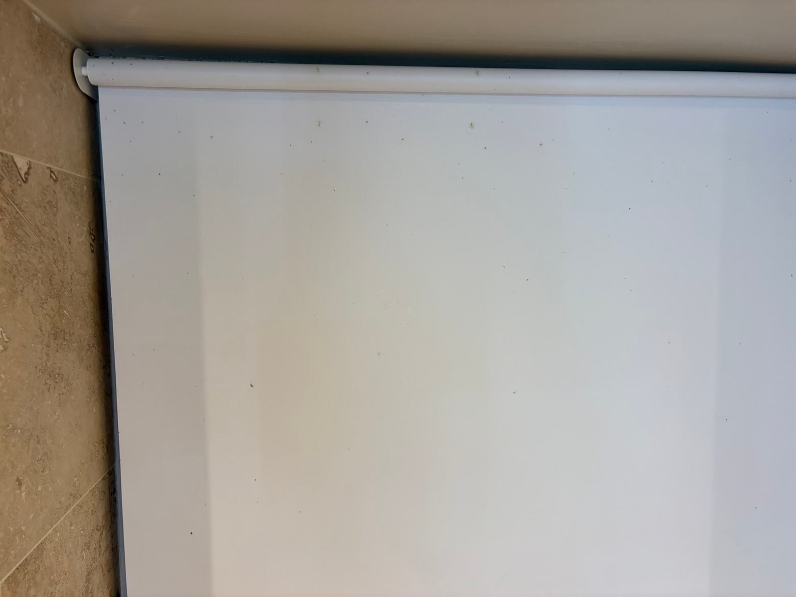 伍德福德桥乡村俱乐部-官方