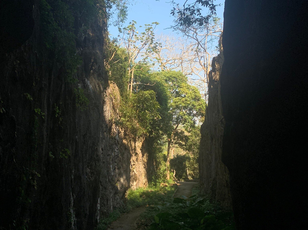 Wat Tham Pla (Fish Cave Temple)-美塞必去景点