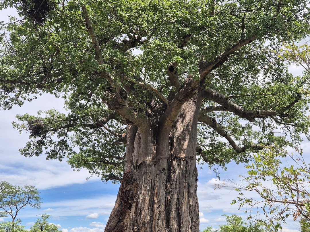Lourie Trips & Tours-路易特里哈特必去景点