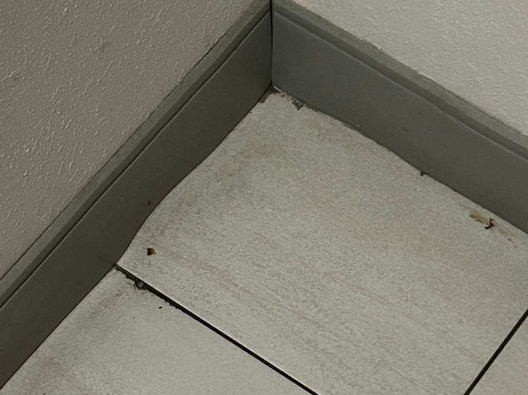 Holiday Inn Express & Suites Dothan North By IHG主图