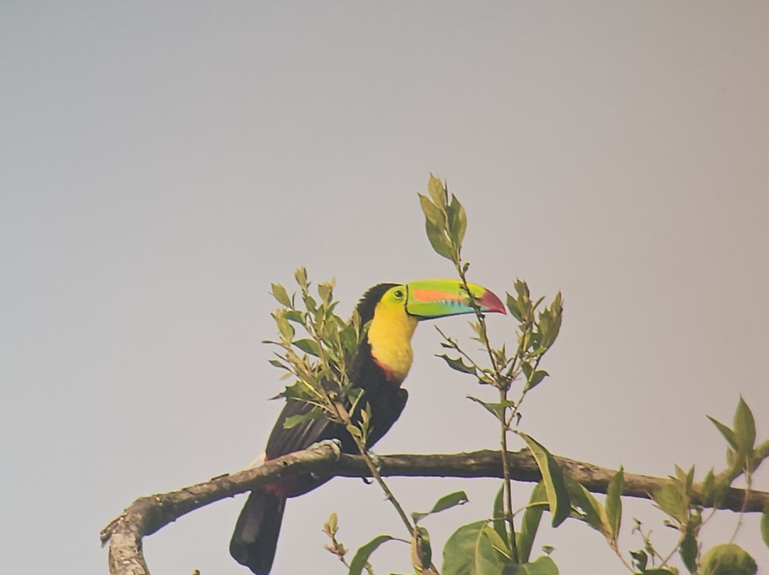 Panama Road Trips-巴拿马城必去景点