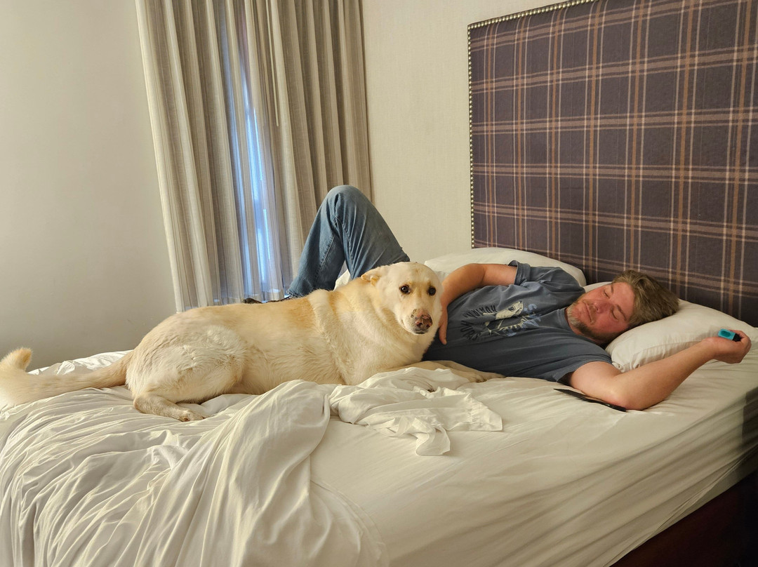 Drury Inn & Suites St. Joseph主图