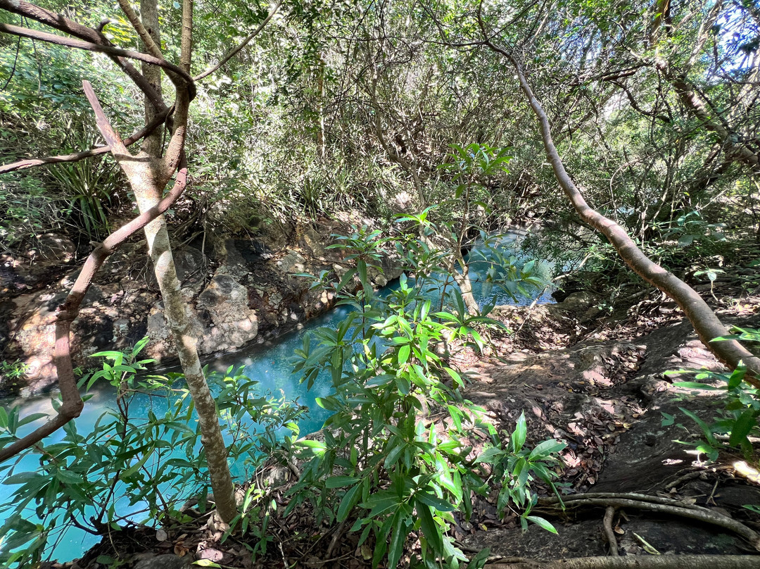 La Leona Waterfall Costa Rica-Curubande必去景点