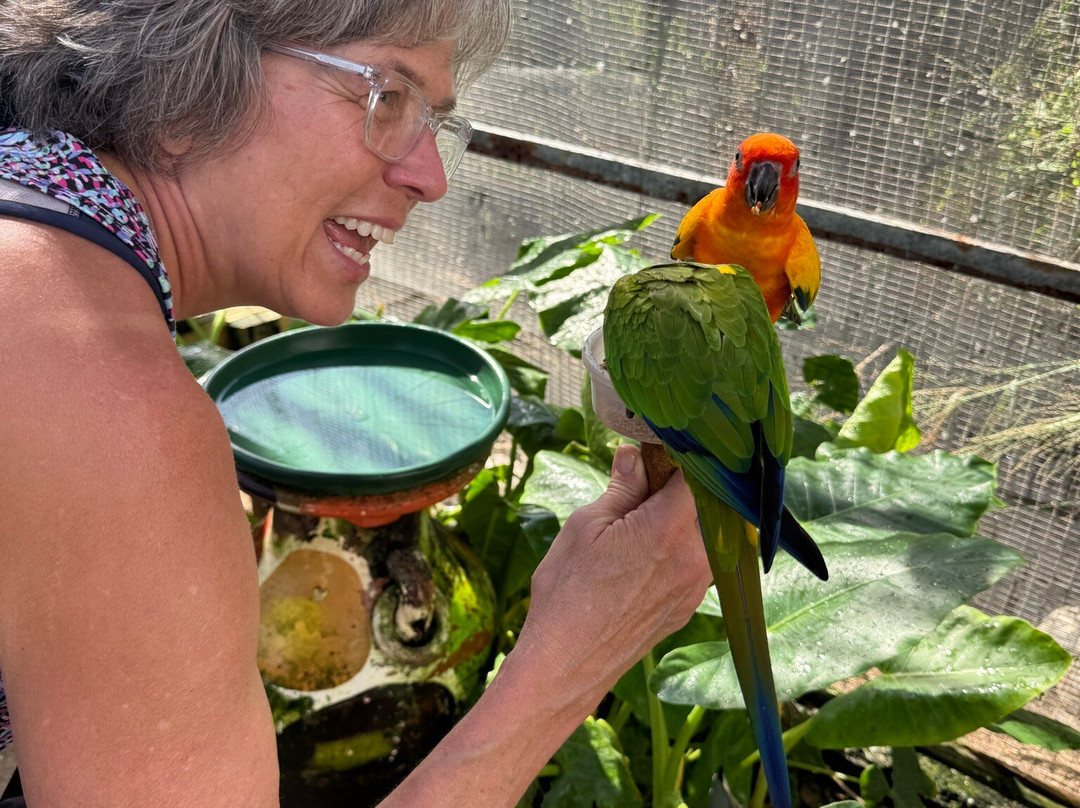 Parotte Ville Bird Sanctuary-圣马丁岛必去景点