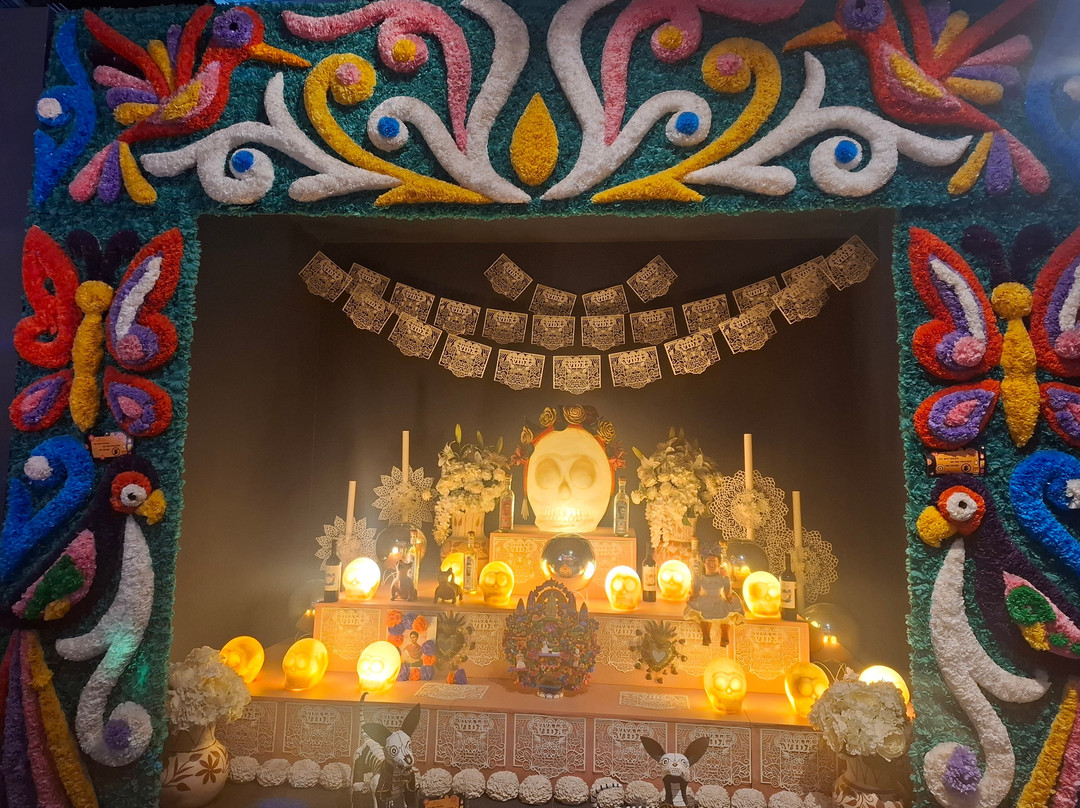 Museo Frida Kahlo-普拉亚德尔卡曼必去景点