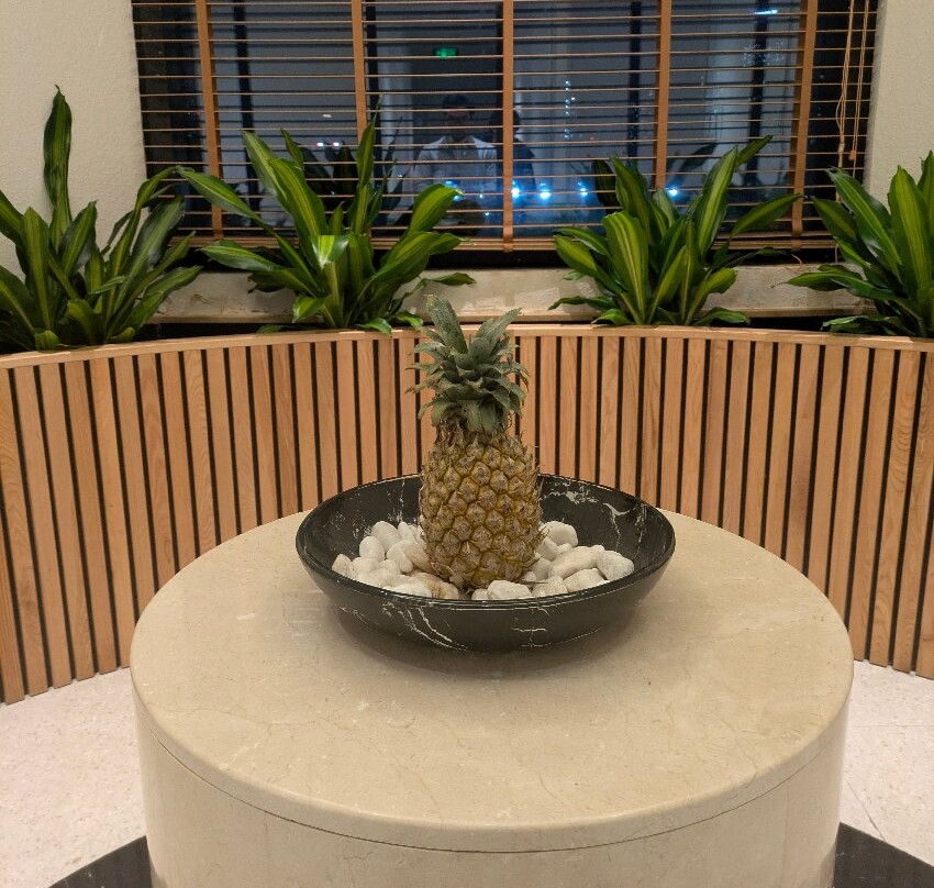 Revive Urban Spa-Nam Từ Liêm必去景点