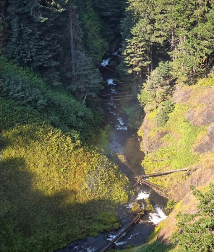 Salt Creek Falls-Oakridge必去景点