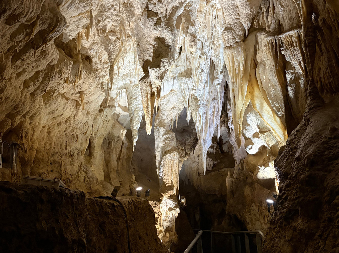 Ruakuri Cave-怀托摩洞穴必去景点