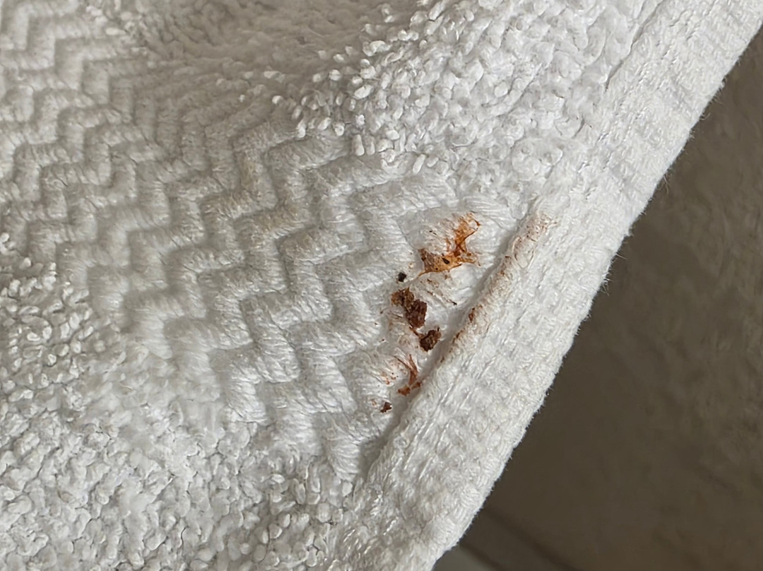 Everspring Inn主图