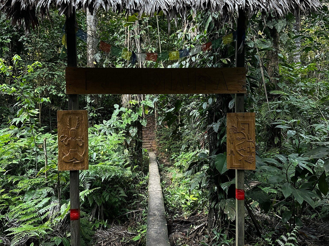 Psychonauta Foundation-伊基托斯必去景点