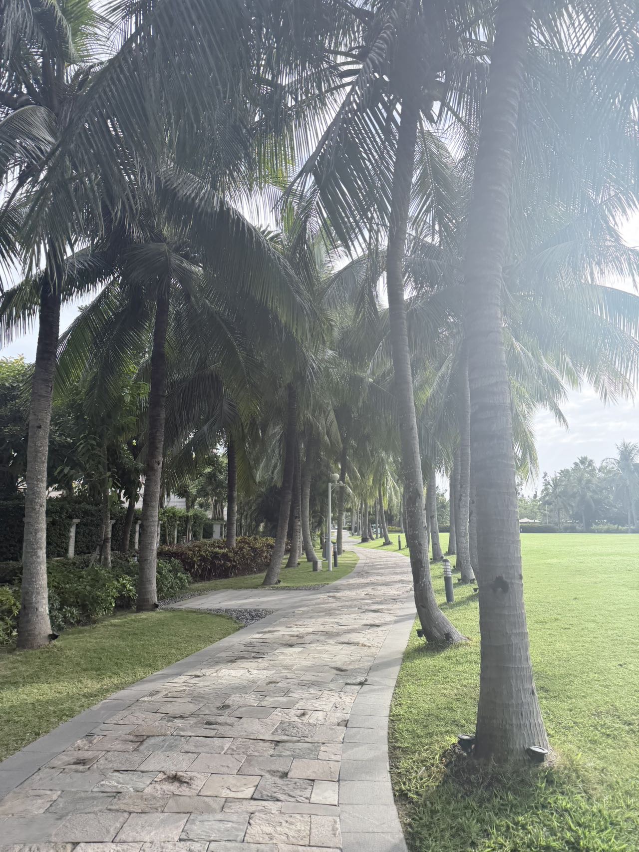 三亚理文索菲特度假酒店-官方