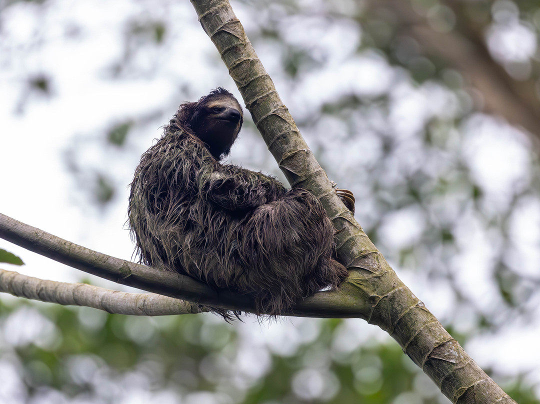 My Costa Rica-圣何塞必去景点