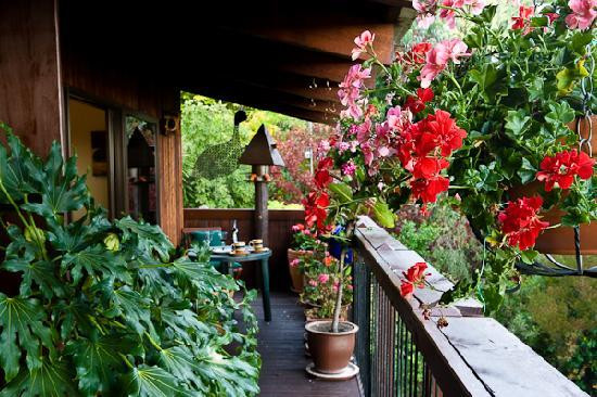 Mt Pleasant Bed and Breakfast主图