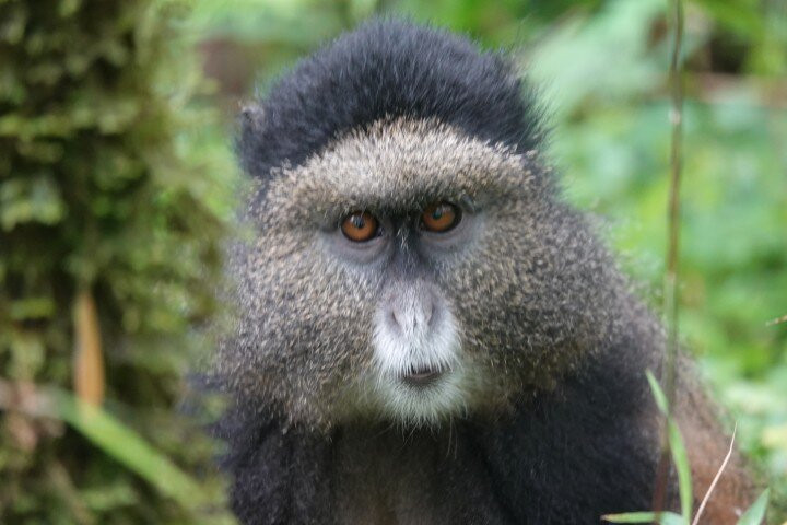 New Horizon Africa Safaris-吉佳利必去景点