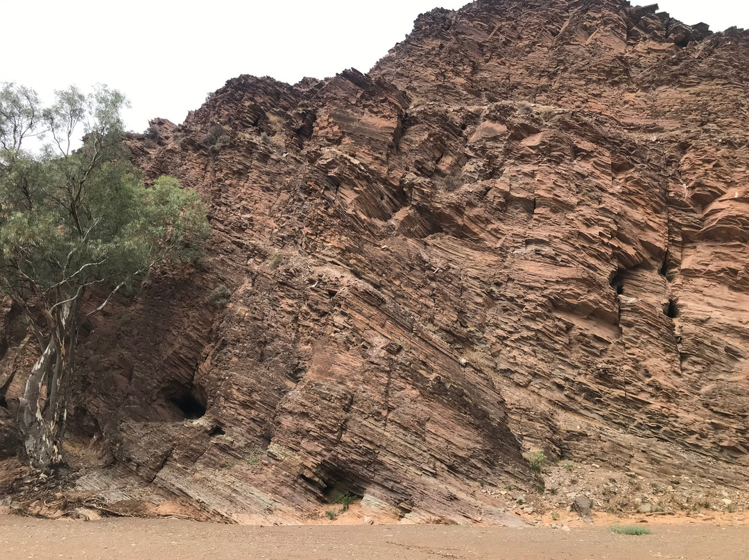 Flinders Ranges National Park-霍克必去景点