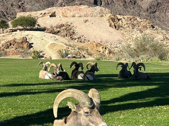 Hemenway Park-博尔德城必去景点