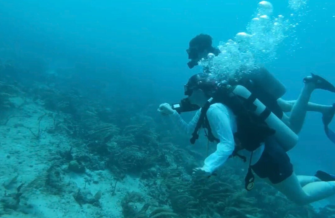 Squalo Divers-坎昆必去景点