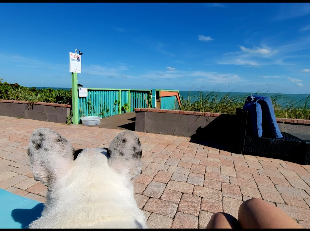 Seashell Suites Resort主图