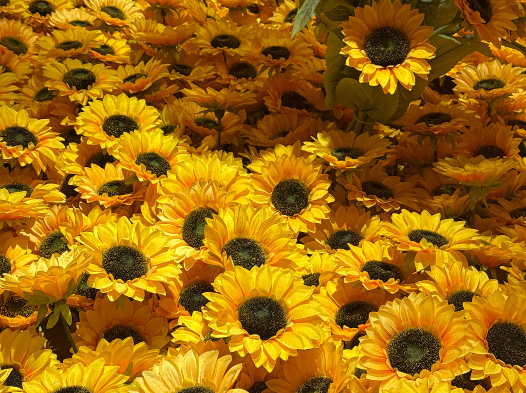 Metashow Exhibition-胡志明市必去景点