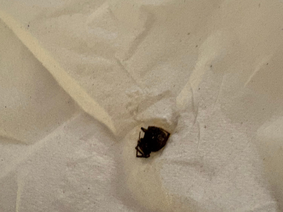 Fairfield Inn & Suites Oshkosh主图