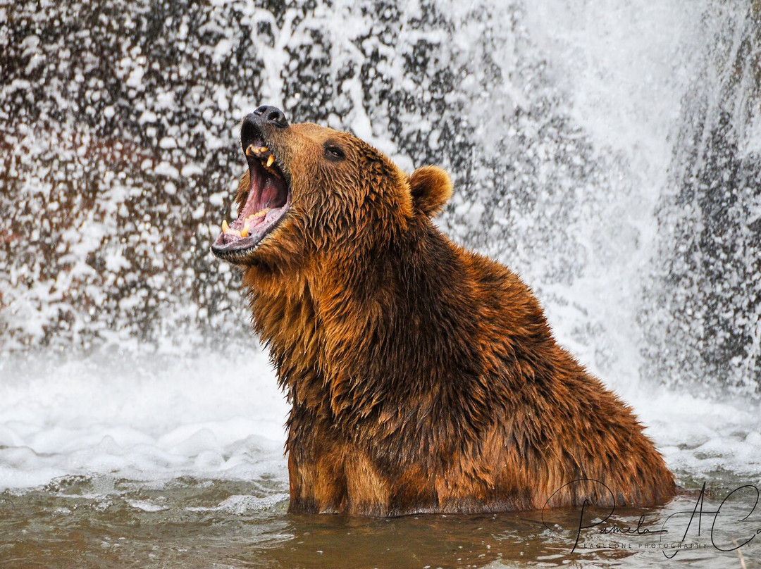 McKay Photography Academy-El Dorado Hills必去景点