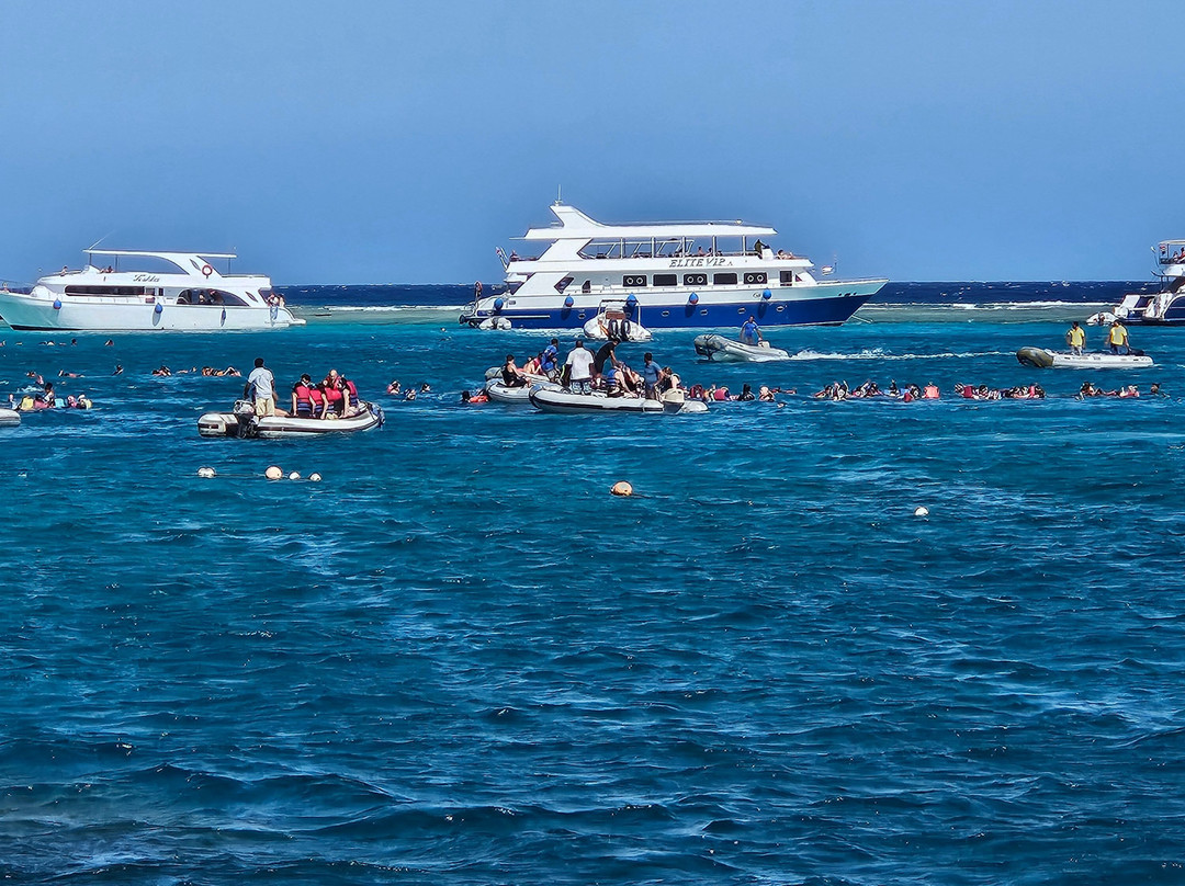 Marsa Mubarak-马萨阿拉姆必去景点