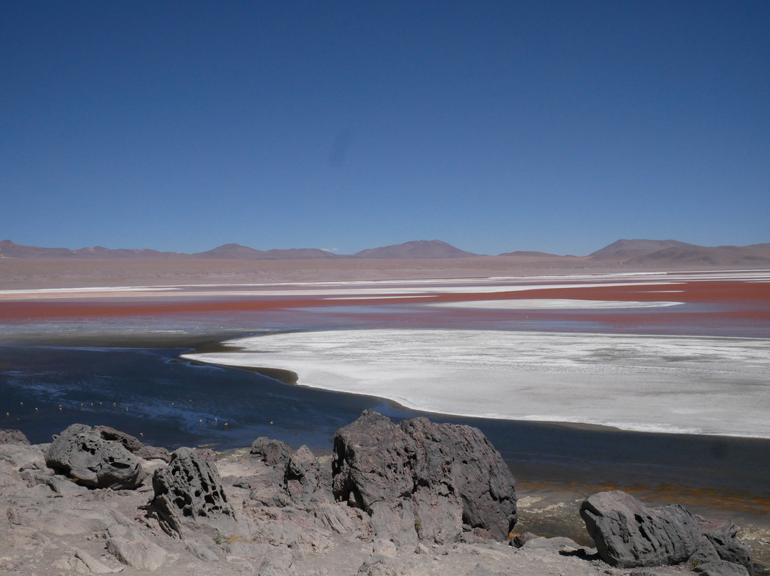 Laguna Colorada-乌尤尼必去景点