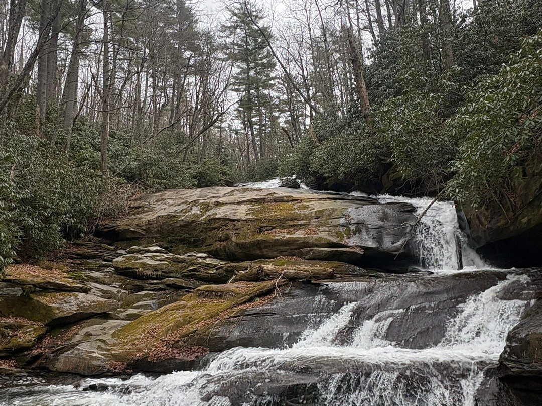 Highlands Aerial Park-Scaly Mountain必去景点