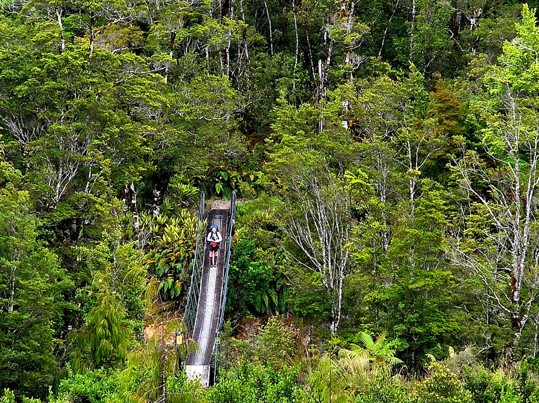 The Old Ghost Road-韦斯特波特必去景点